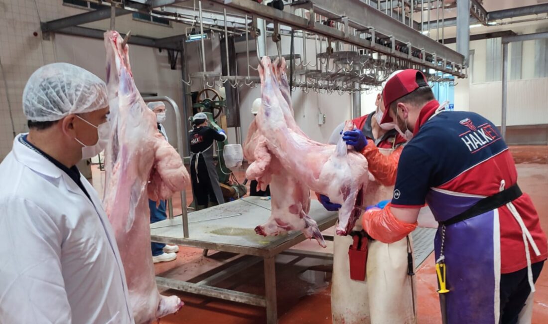 Online Kurban Bağışı 2