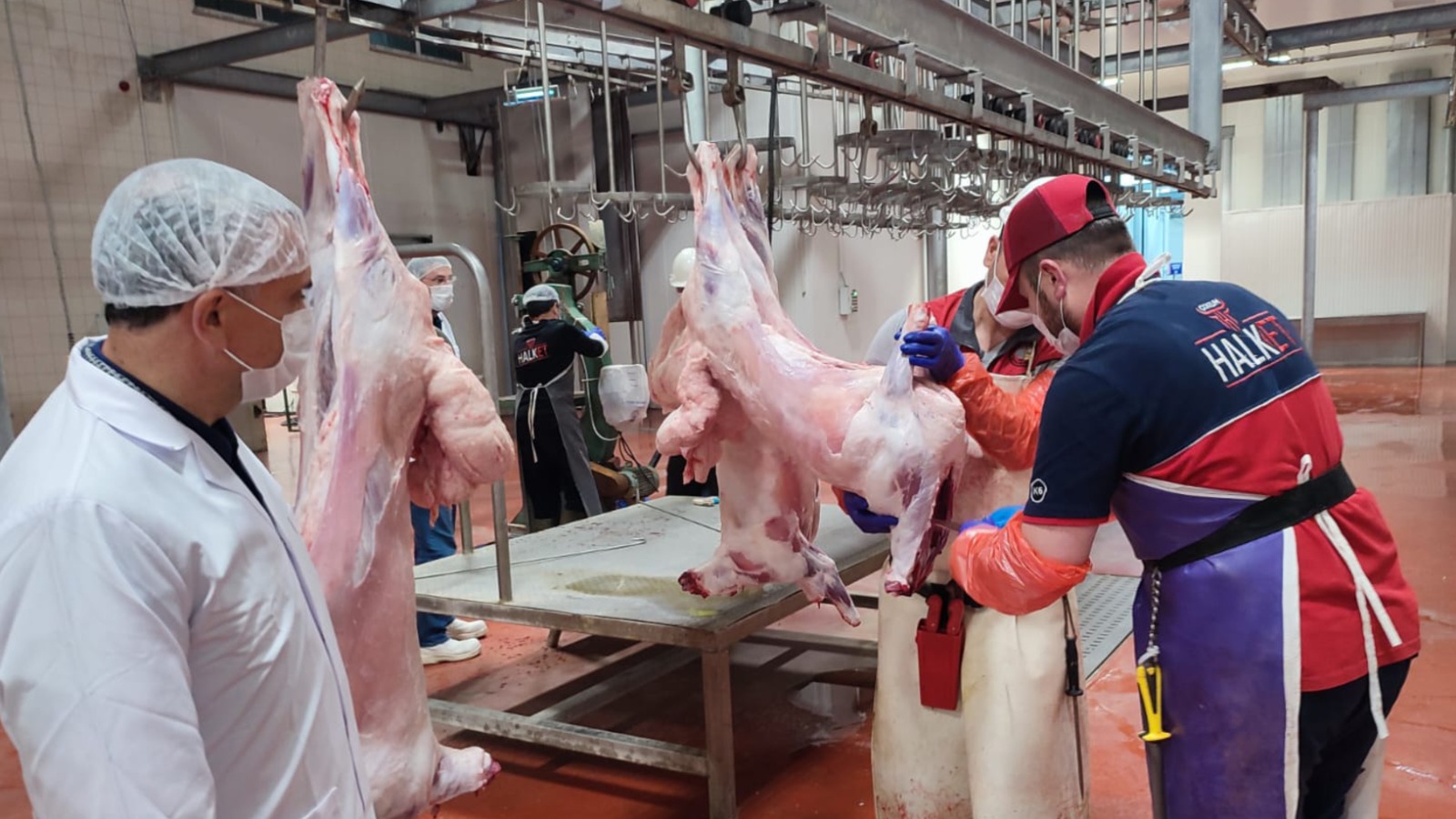 Çorum Belediyesi’nden Kurban Kampanyası: “Kurbanlarımız Çorumlu Kardeşlerimize”