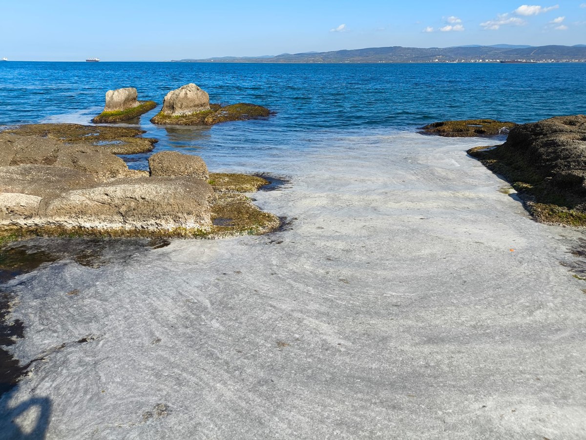 Gelibolulu Balıkçılar Müsilaj Nedeniyle Endişeli!