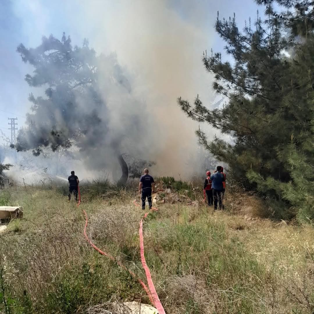 Belen Sarımazı’da Orman Yangını Korkuttu
