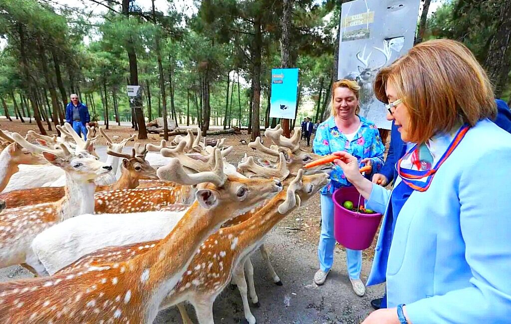 ABDULLAH SOLMAZ— GAZİANTEP/TEKHA Gaziantep