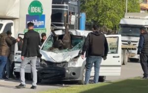 Gaziantep’te Başıboş At Dehşeti: Polis Aracına Çarpan At 2 Polisi Yaraladı!