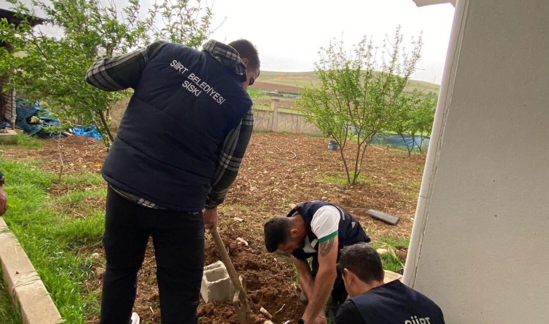 TEK HABER AJANSI (TEKHA)