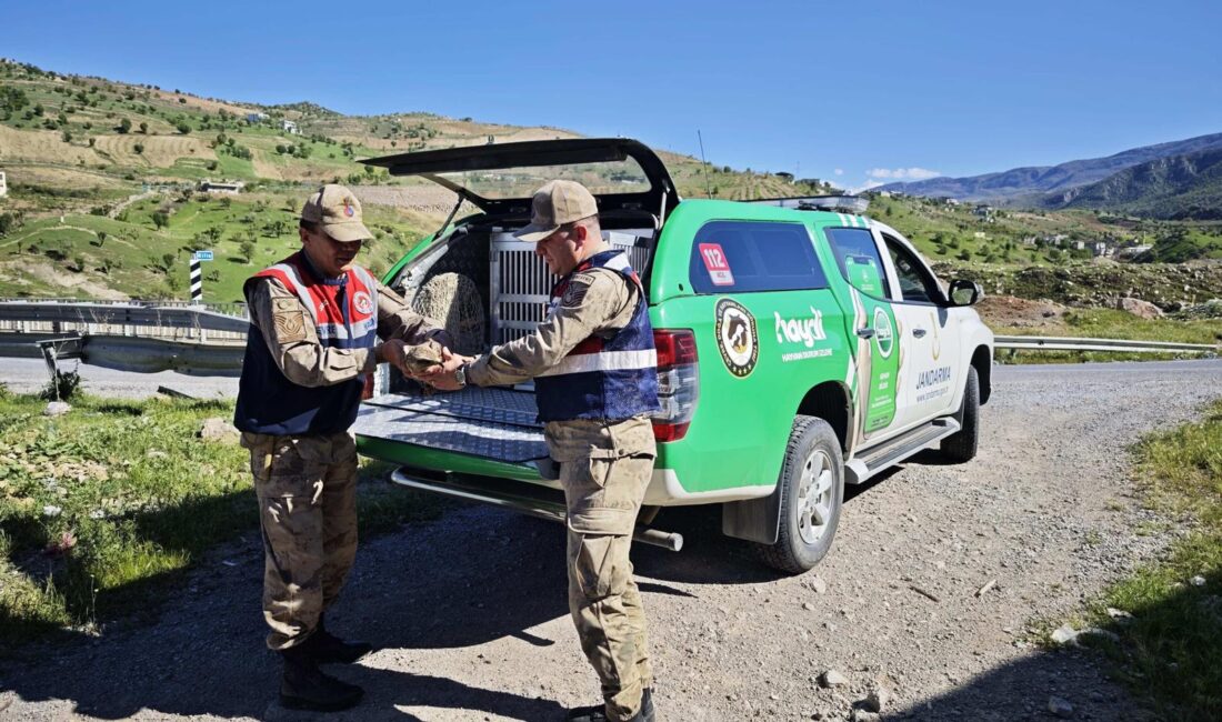 Siirt İl Jandarma Komutanlığı,