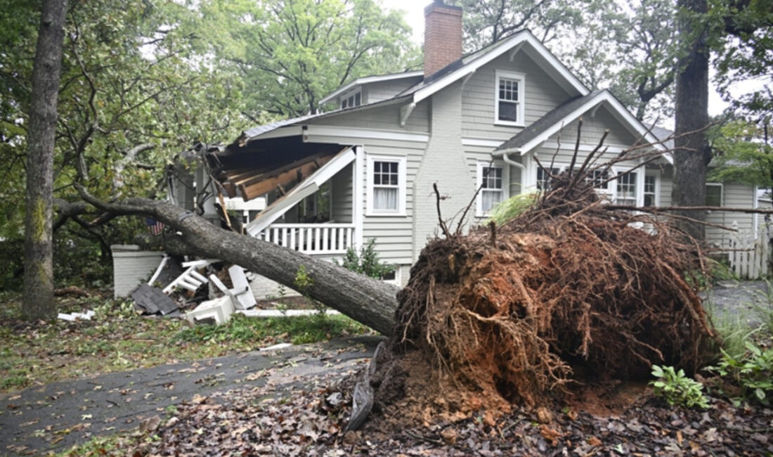 SÜMEYYENUR ALP – TEKHA