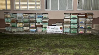 Kars’ın Kağızman ilçesine bağlı Tomruktaş