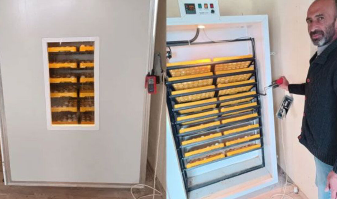 TEK HABER AJANSI (TEKHA)