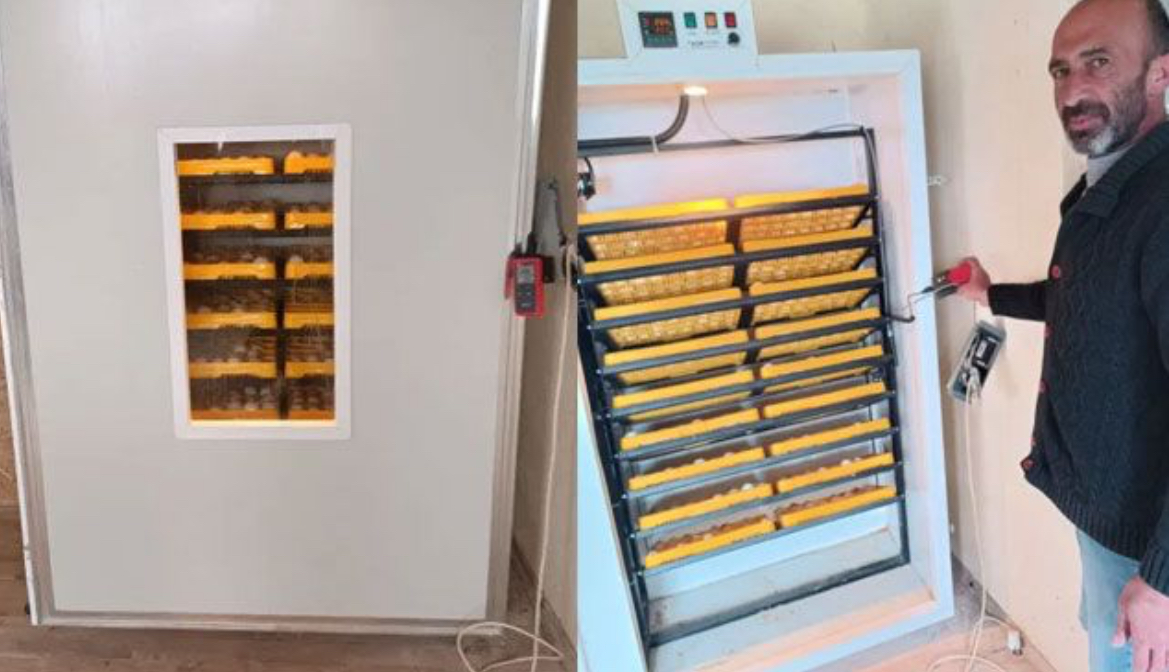 Ispartalı Girişimciden Yılda 5 Bin Civciv Üretimi