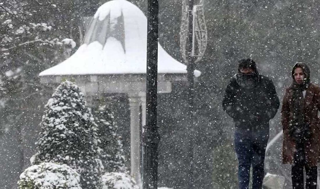 Tek Haber Ajansı (TEKHA)