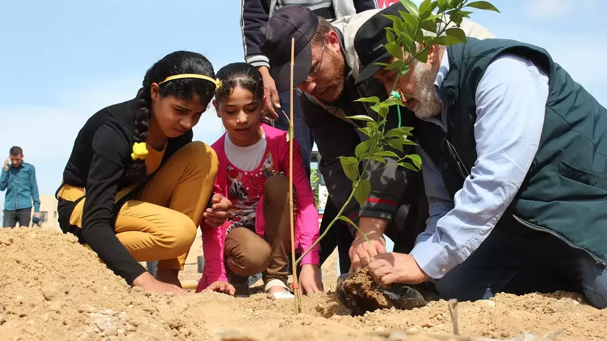 İHH’dan “Her Yetime Bir Fidan” Projesi: 160 Bin Fidan Toprakla Buluştu