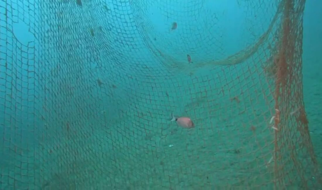 İzmir İl Tarım ve