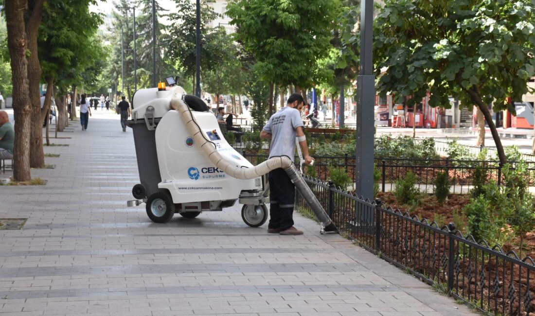 Siirt Belediyesi, şehir merkezinde