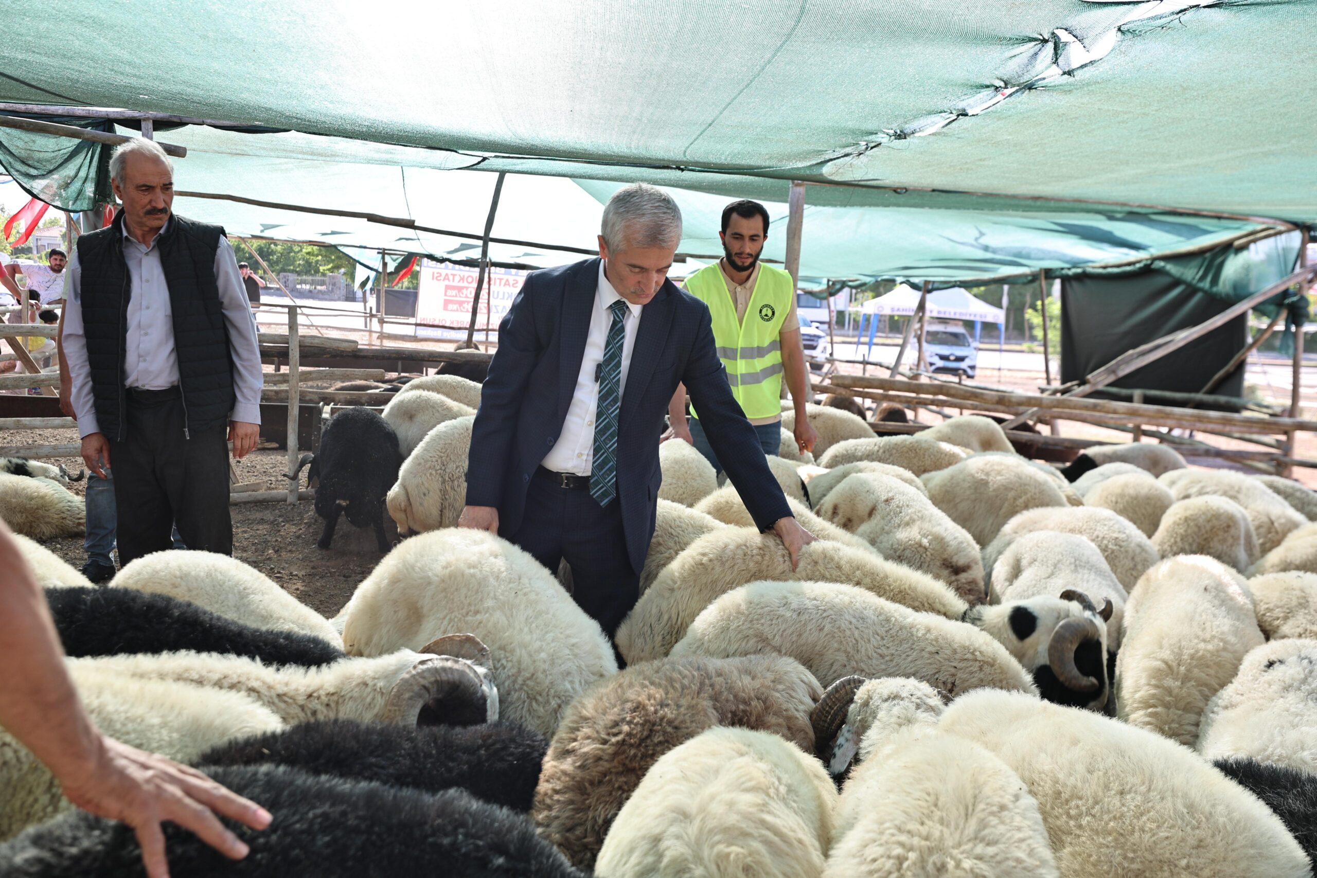 Başkan Tahmazoğlu’ndan Kurban Müjdesi: Kilo Fiyatı 220 TL’den Başlayacak!