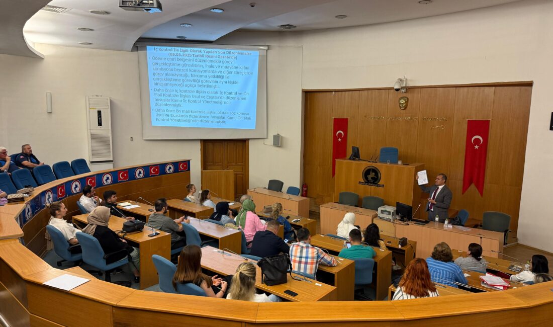 Kamu İç Kontrol Standartlarına