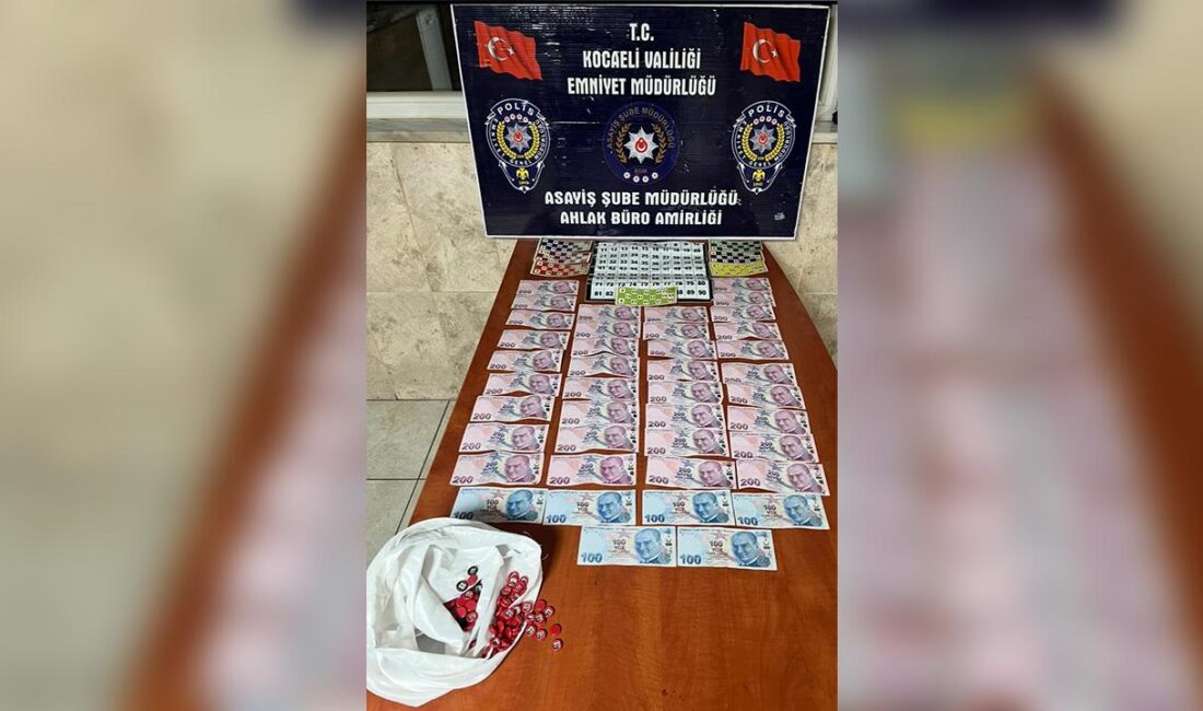 Elif ERVA KÖKTÜRK- TEKHA/İZMİT