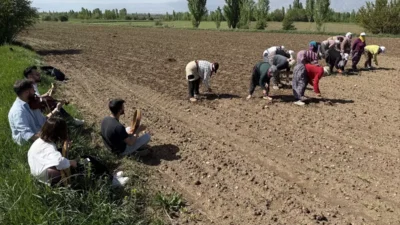 ELİF ERVA KÖKTÜRK TEKHA/İZMİT Erzincan