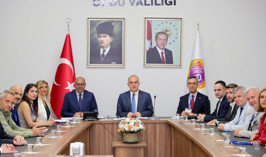 SÜMEYYENUR ALP – TEKHA