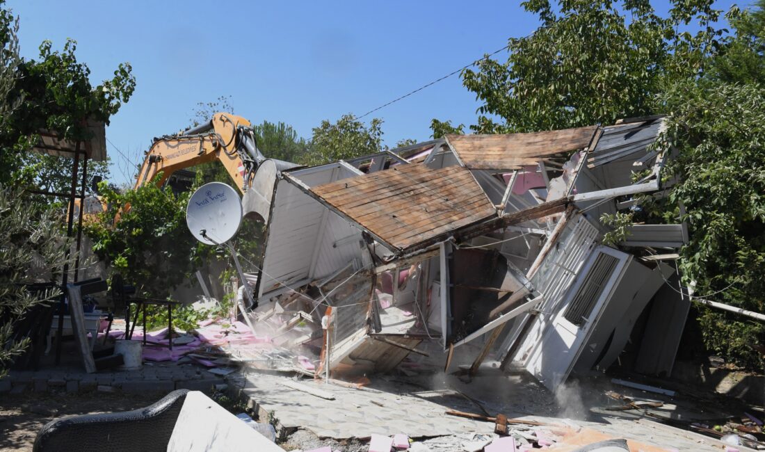 SÜMEYYENUR ALP – TEKHA