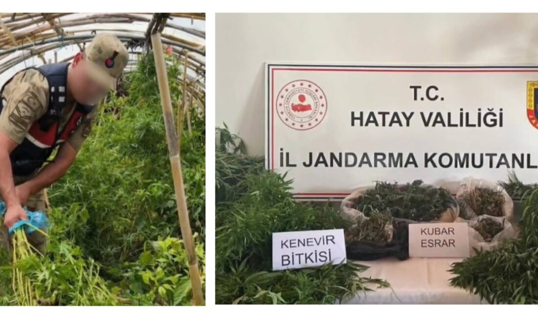 Hüseyin ZORKUN – HATAY