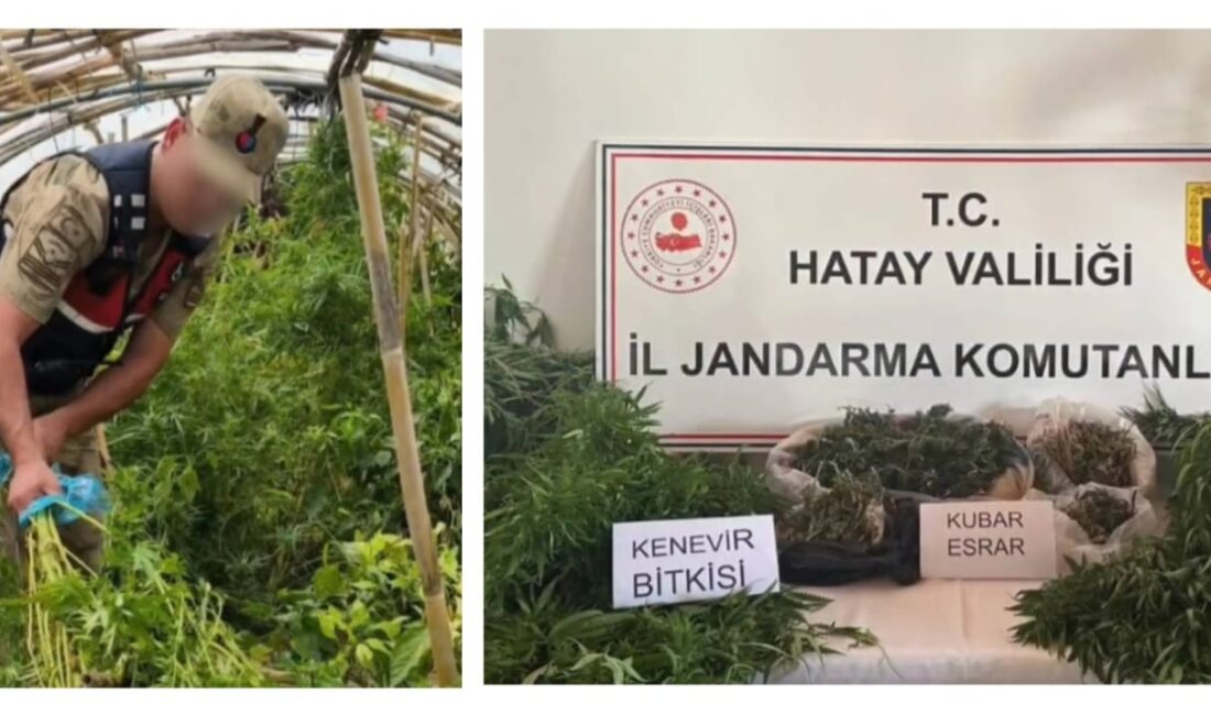 Hüseyin ZORKUN – HATAY
