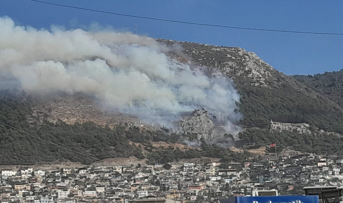Antakya’da Orman Yangını *Habibi Neccar Dağı’ndaki ağaçlık