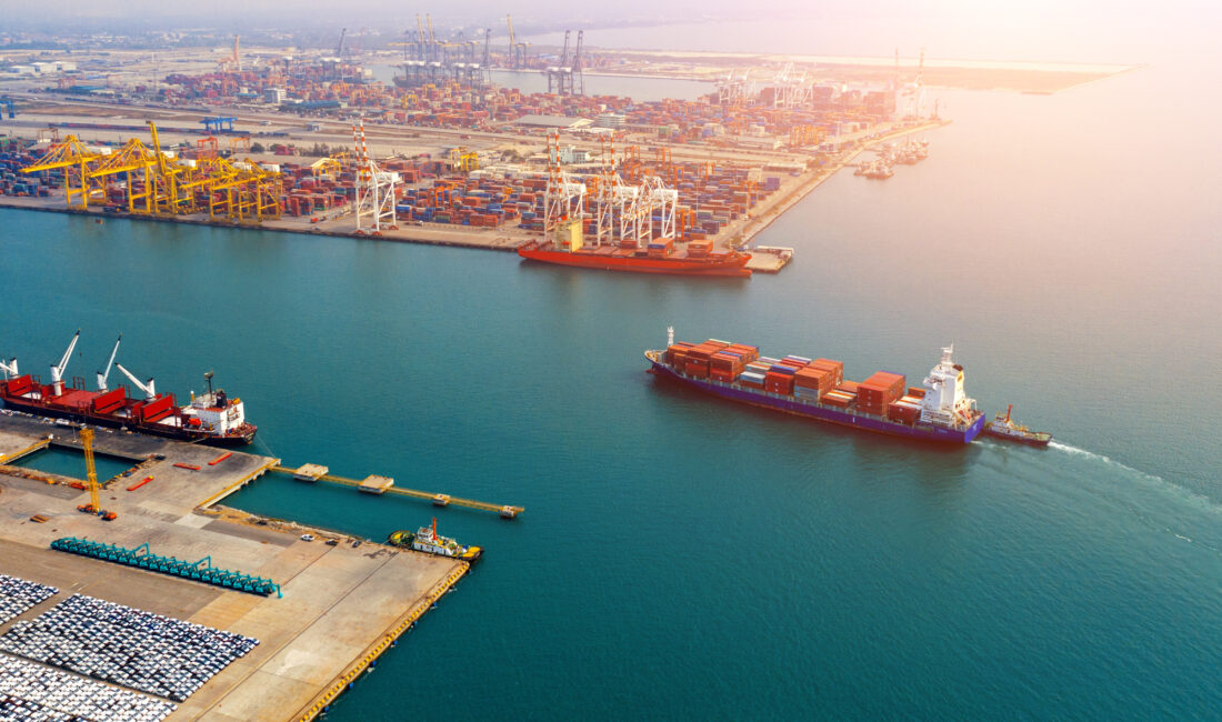 SÜMEYYENUR ALP – TEKHA