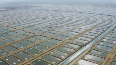 SÜMEYYENUR ALP – TEKHA Türkiye