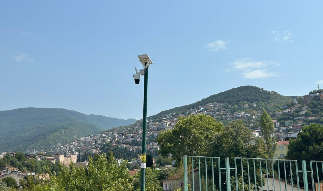 SÜMEYYENUR ALP – TEKHA