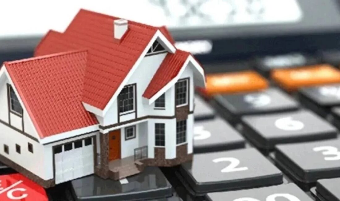 OĞUZHAN TÜRK – TEK