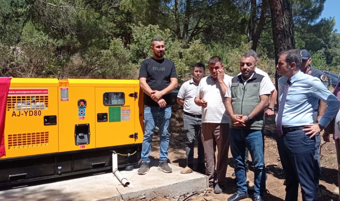 SÜMEYYENUR ALP – TEKHA