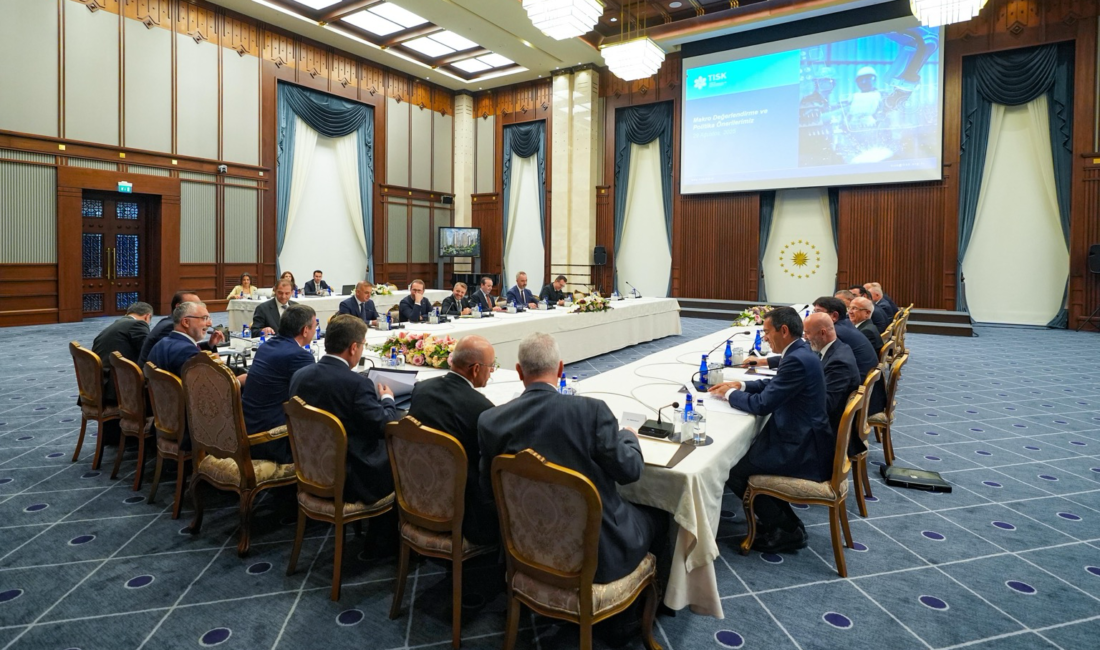 ANKARA /TEKHA Cumhurbaşkanı Yardımcısı