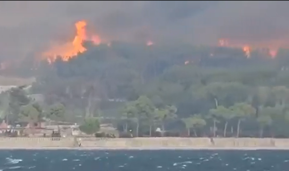 ÇANAKKALE / TEKHA Çanakkale’nin