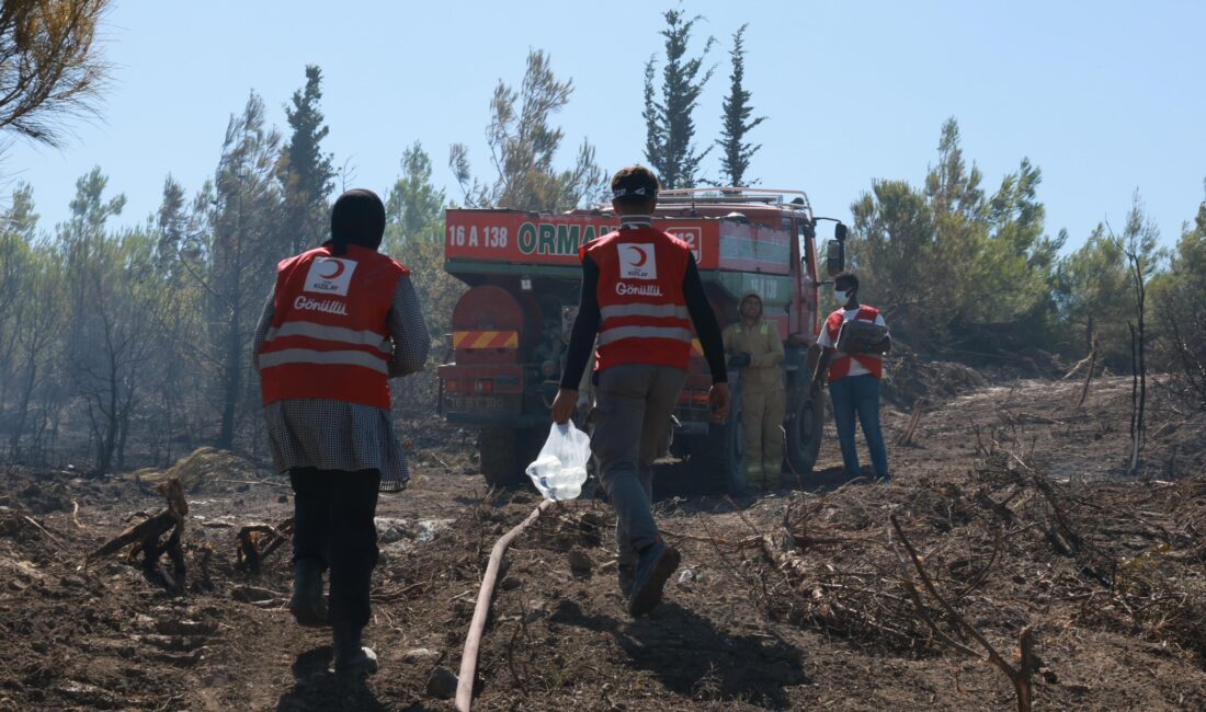 SÜMEYYENUR ALP – TEKHA