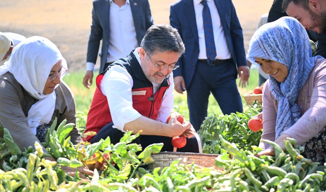 ANKARA / TEKHA Tarım