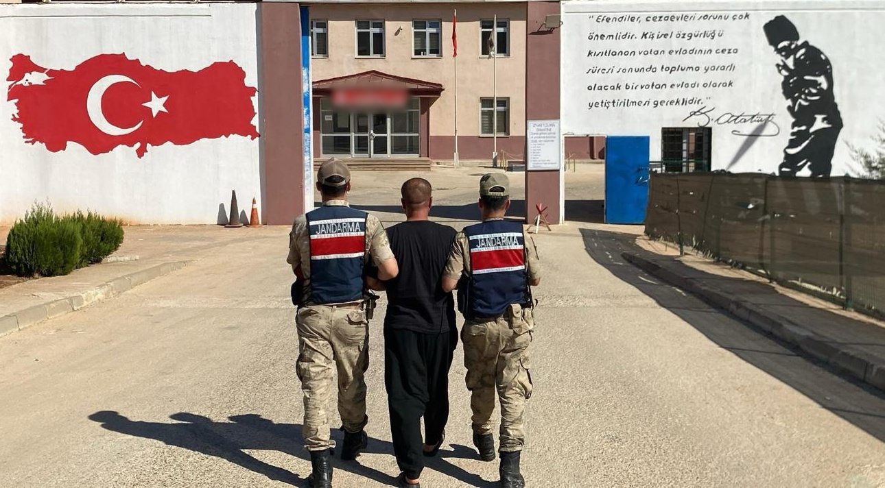 Gaziantep’te Jandarmadan Uyuşturucuya Darbe: 5 Tutuklama, 428 Kök Kenevir Ele Geçirildi!