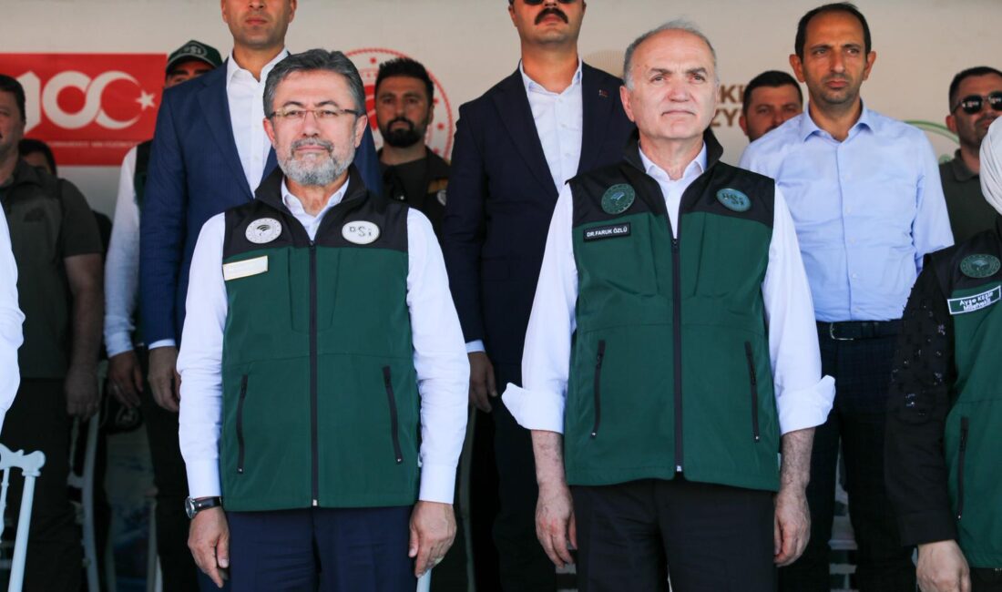 SÜMEYYENUR ALP – TEKHA