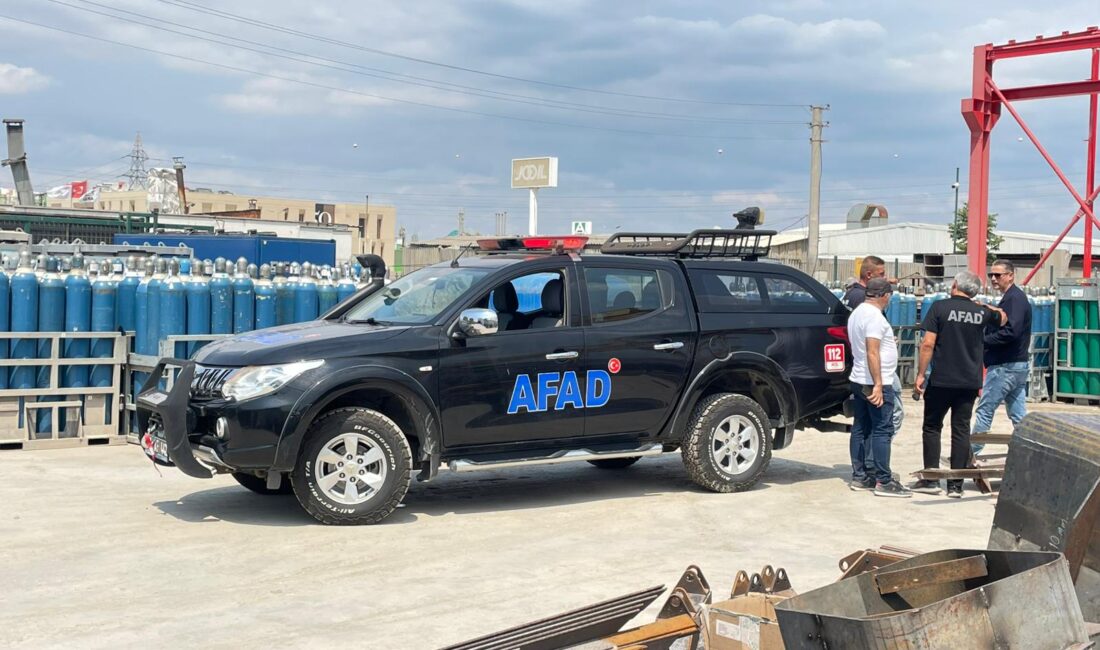 SÜMEYYENUR ALP – TEKHA