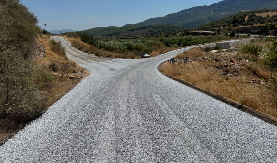 SÜMEYYENUR ALP – TEKHA