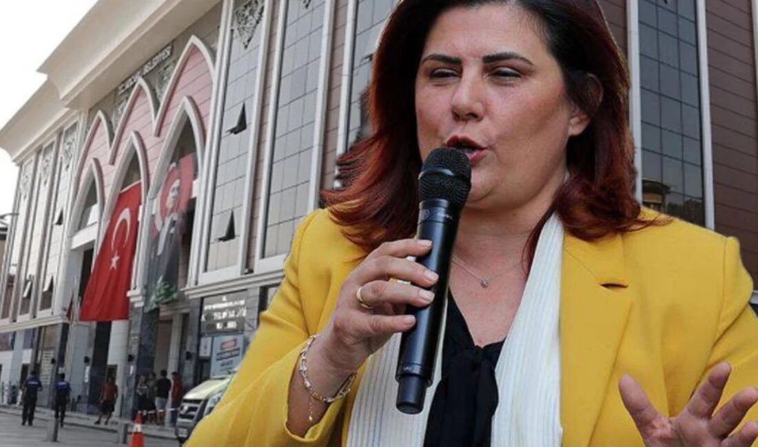 OĞUZHAN TÜRK – AYDIN/TEK