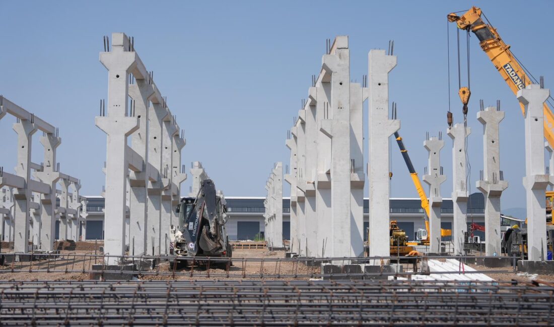 SÜMEYYENUR ALP – TEKHA