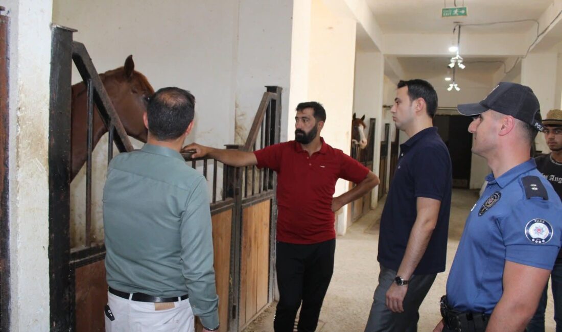 CEM DAŞDELEN- KARS /
