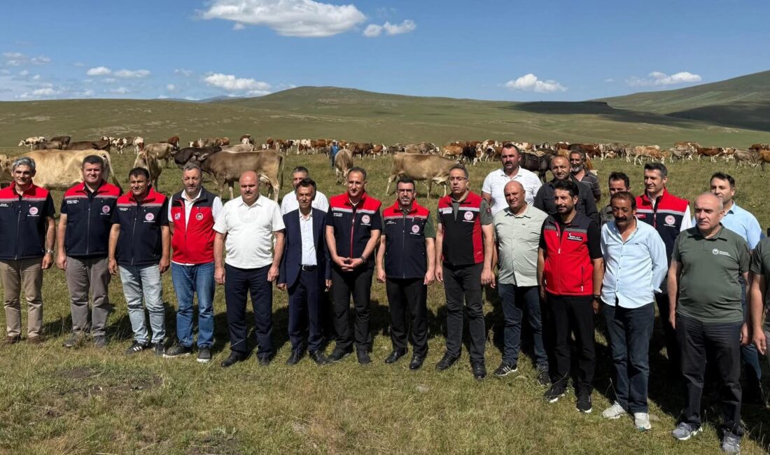 CEM DAŞDELEN- KARS /
