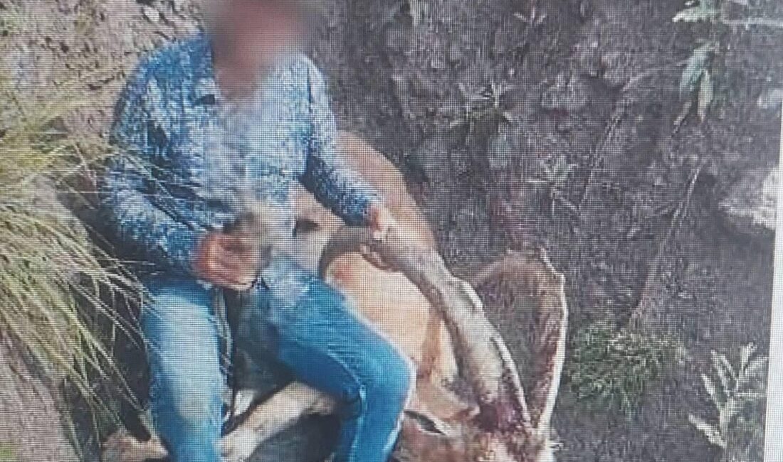 Kağızman’da Yaban Keçisi Avlayan Şahsa 658 Bin TL Ceza Uygulandı CEM DAŞDELEN- KARS /