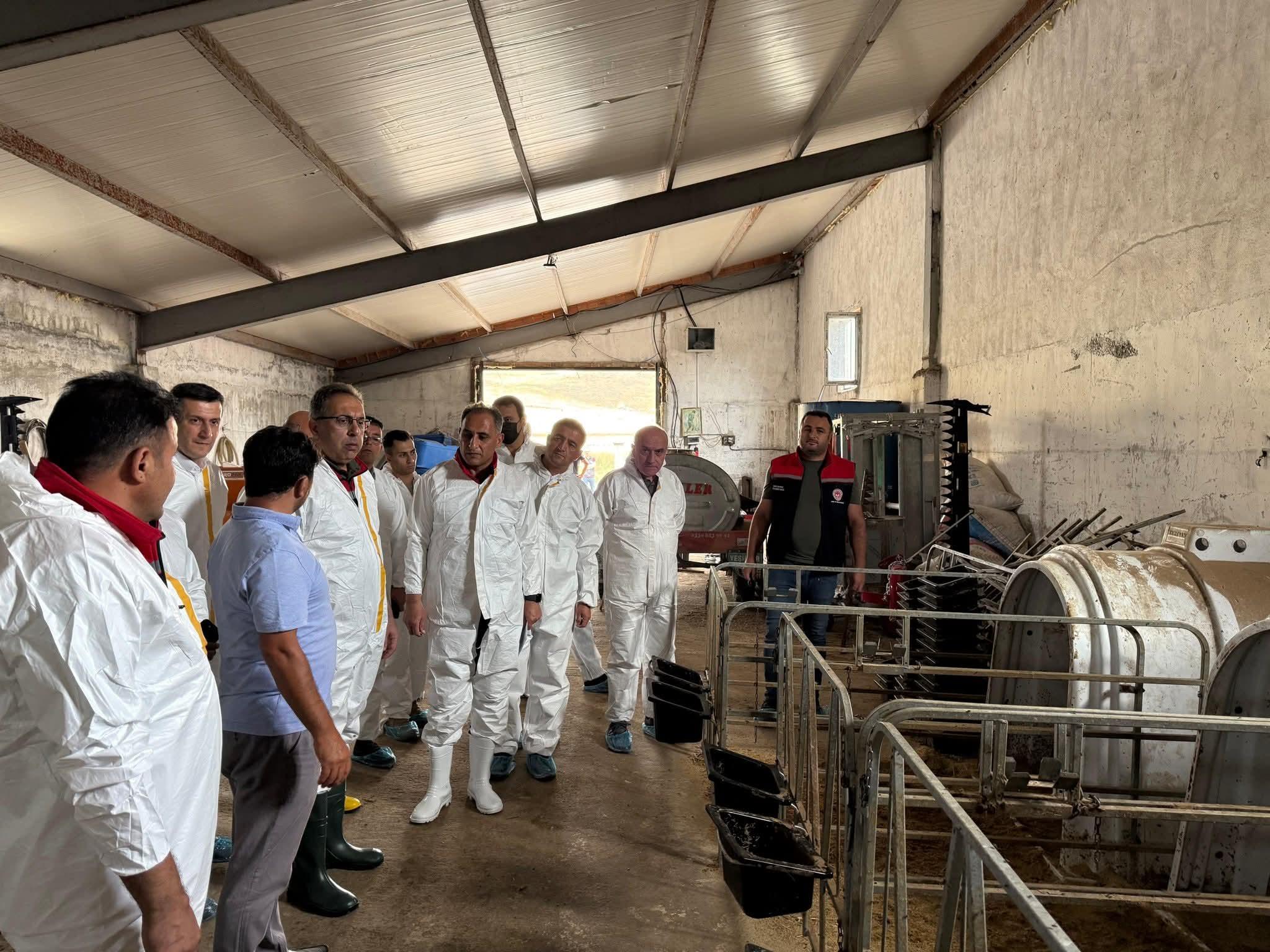 Hayvan Sağlığı ve Şap Hastalığı Çalışmaları Kars’ta Yerinde İncelendi