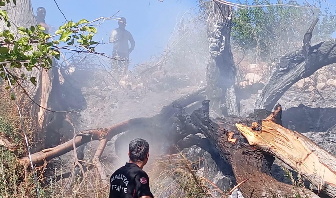 Malatya’da Elektrik Hattı Yangın Paniği Yarattı Cem Parlak- Malatya /