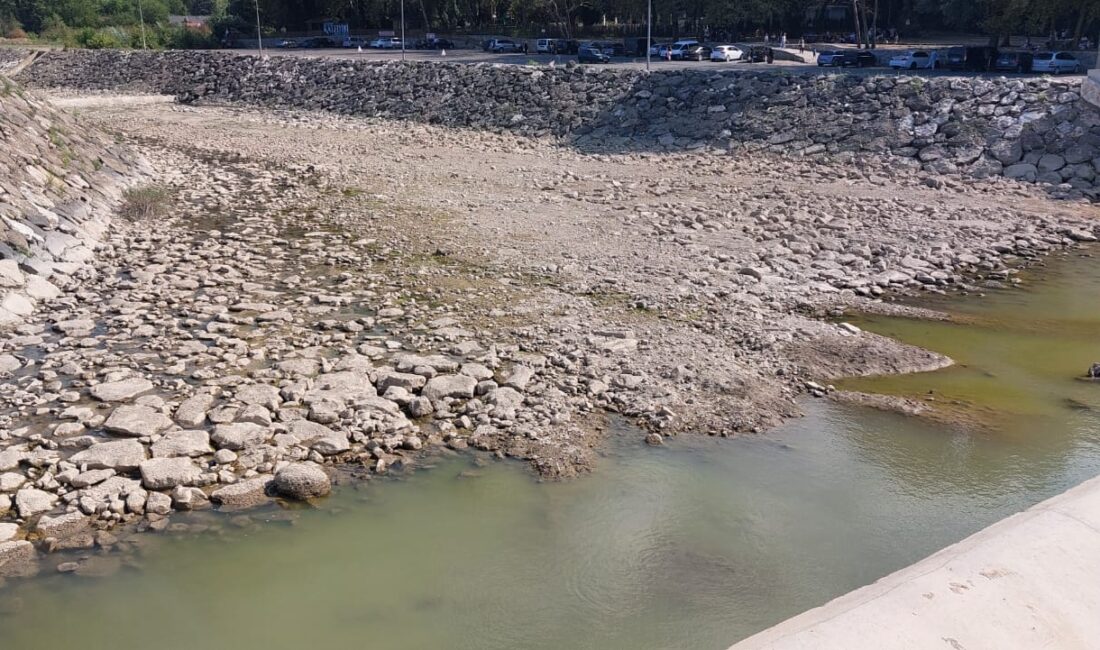 SÜMEYYENUR ALP – TEKHA