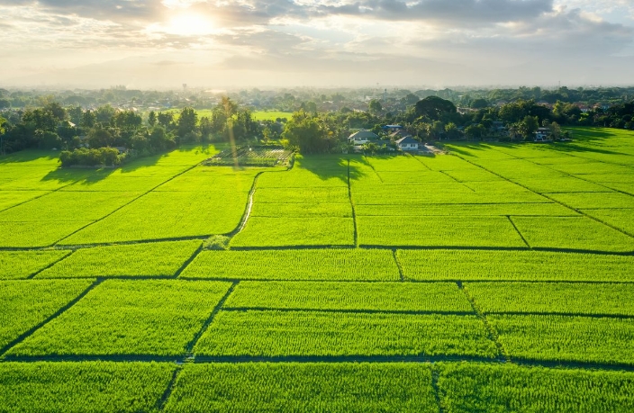TOKİ 30 İl Genelinde 312 Arsa Satacak: En Uygun Fiyat 307 Bin Lira
