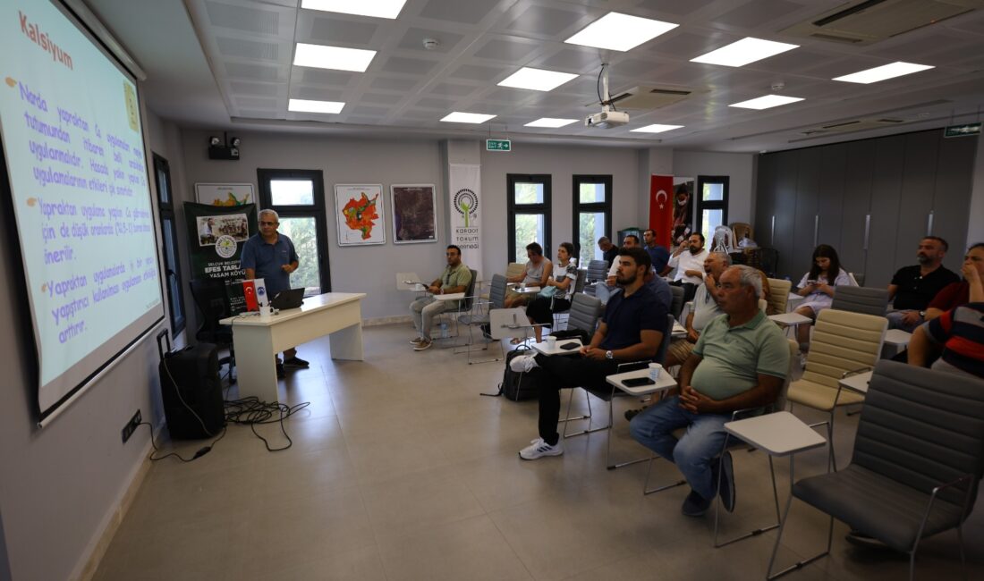 SÜMEYYENUR ALP – TEKHA