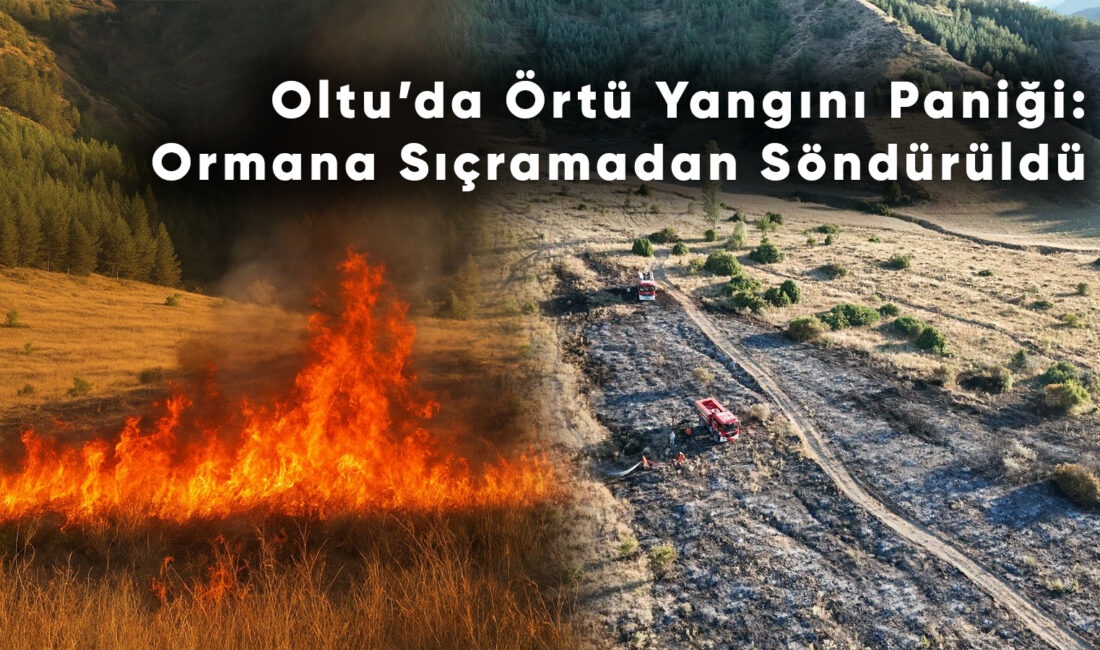 FURKAN GÜN – OLTU