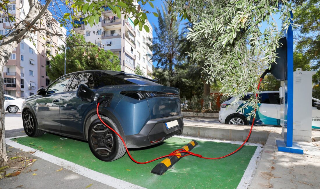 SÜMEYYENUR ALP – TEKHA